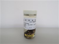 藏品(麻雀)的圖片